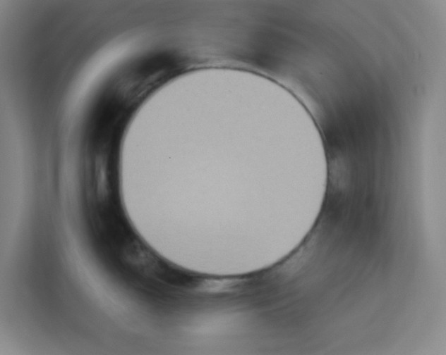 X0000113301150200909281059