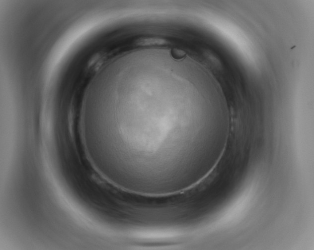 X0000113301151200909281059