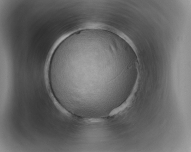 X0000113301152200909281059