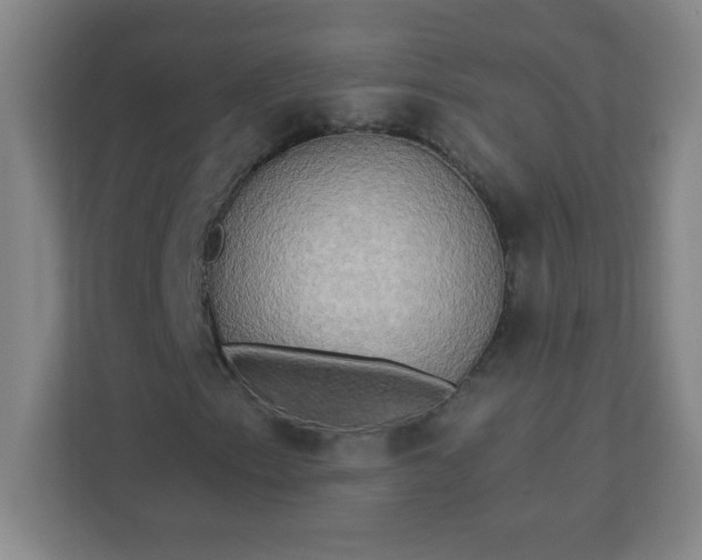 X0000113301153200909281058