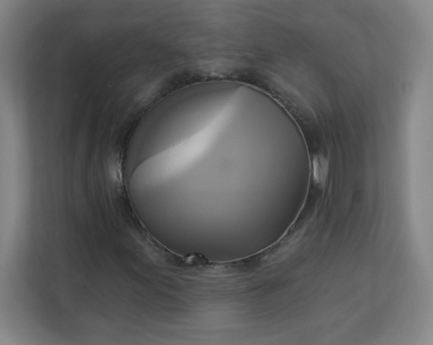 X0000113301155200909281058