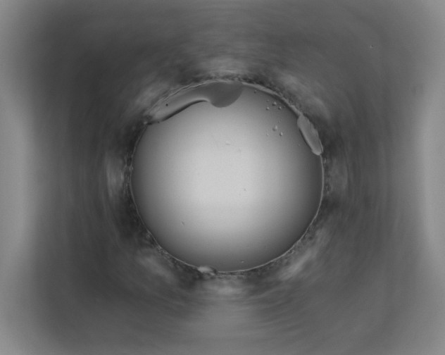 X0000113301157200909281058