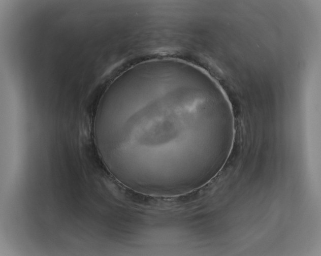 X0000113301158200909281058