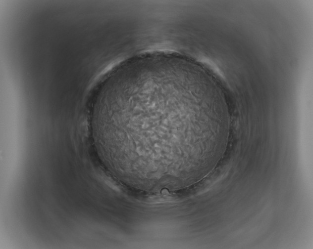 X0000113301159200909281058