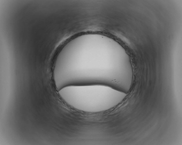 X0000113301160200909281058