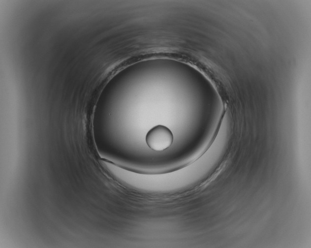 X0000113301161200909281058