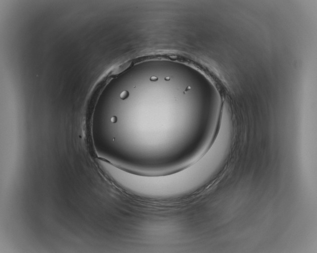 X0000113301165200909281058