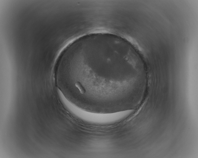 X0000113301167200909281058