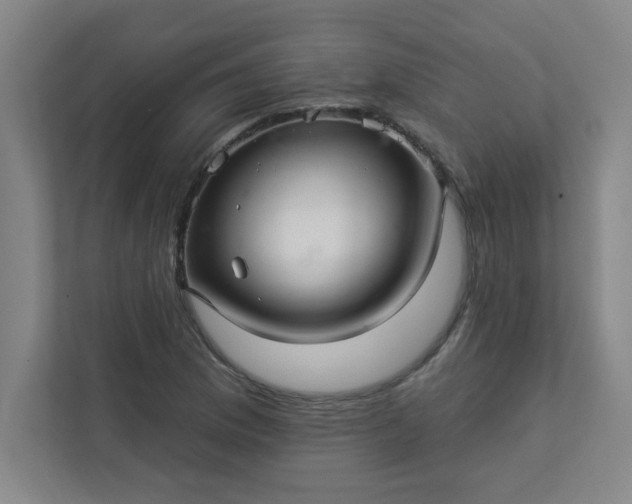 X0000113301169200909281058