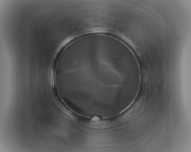 X0000113301171200909281058