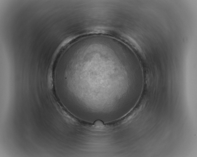 X0000113301172200909281058