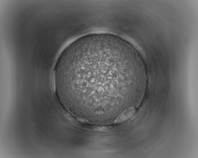 X0000113301175200909281058