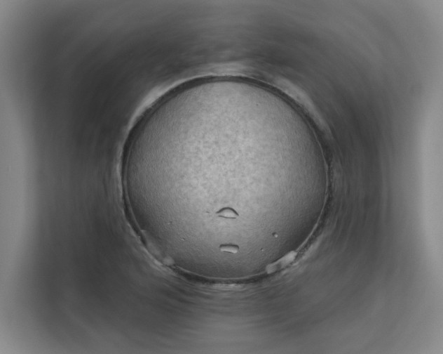 X0000113301176200909281058