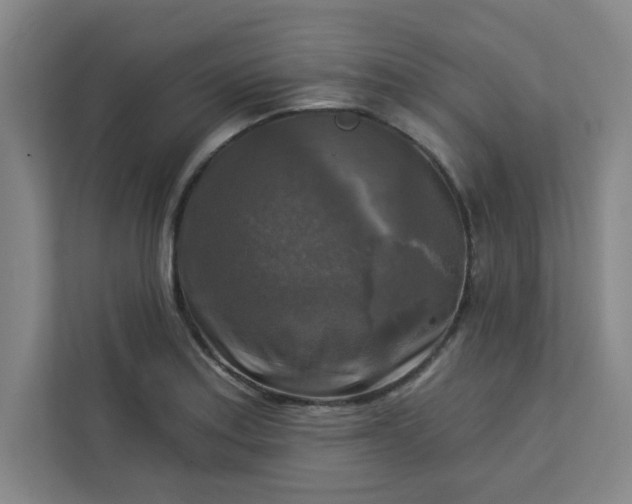 X0000113301179200909281058