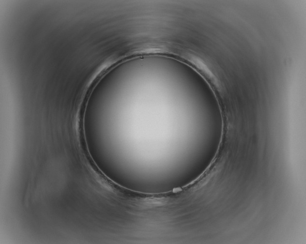 X0000113301181200909281058