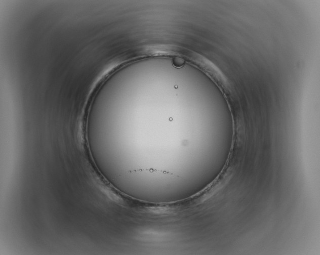 X0000113301182200909281058