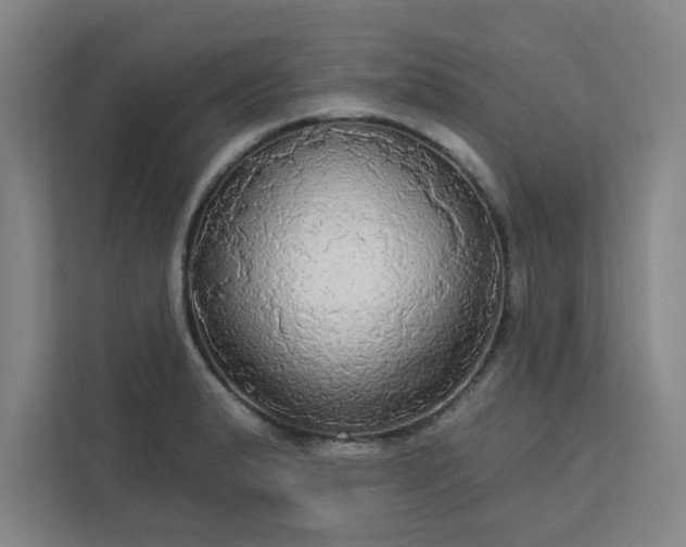 X0000113301183200909281058