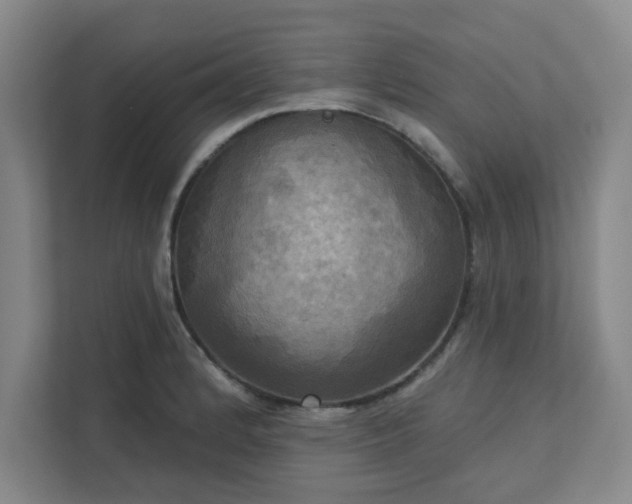 X0000113301184200909281058