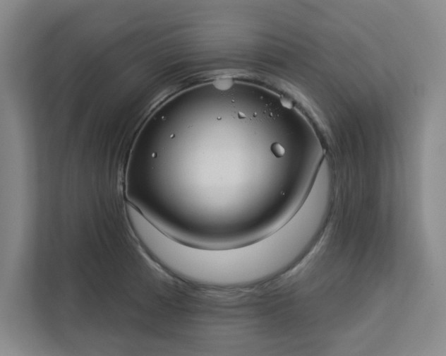 X0000113301185200909281058