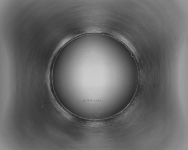 X0000113301187200909281058