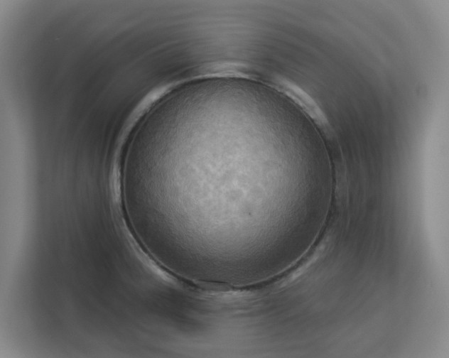 X0000113301188200909281058