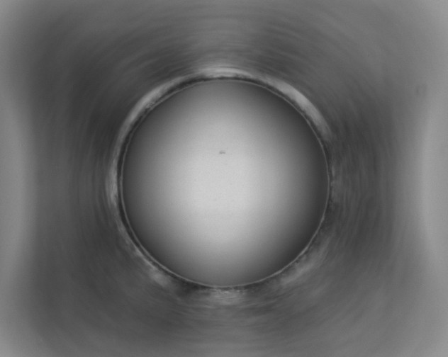 X0000113301191200909281058