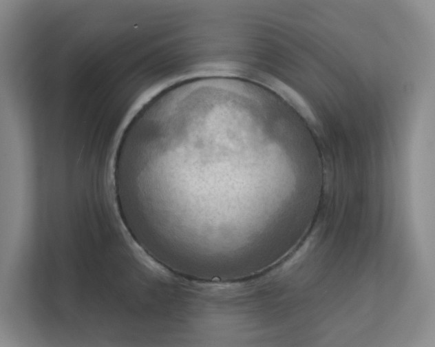 X0000113301192200909281058