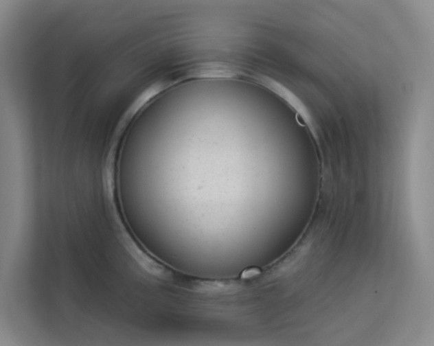 X0000113301195200909281058