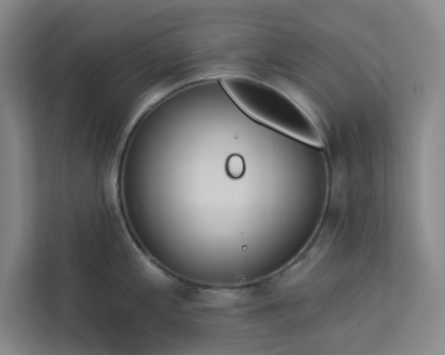 X0000113301197200909281058