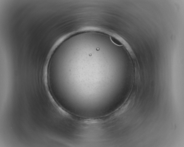 X0000113301199200909281058