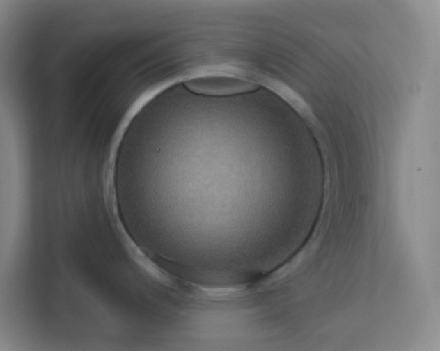 X0000113301200200909281058