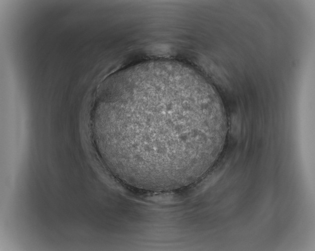 X0000113301201200909281057