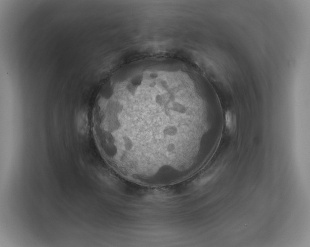 X0000113301203200909281057