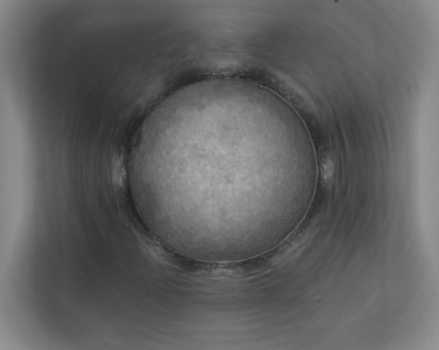 X0000113301204200909281057