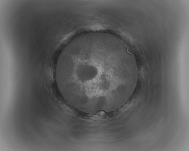 X0000113301205200909281057