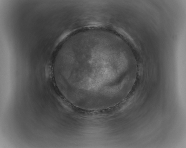 X0000113301208200909281057