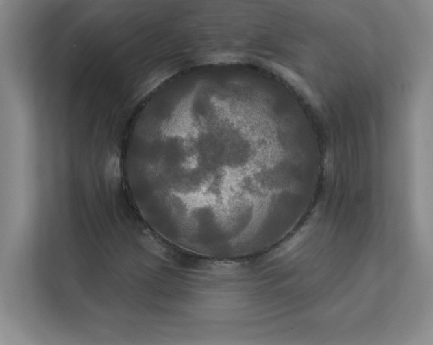 X0000113301209200909281057