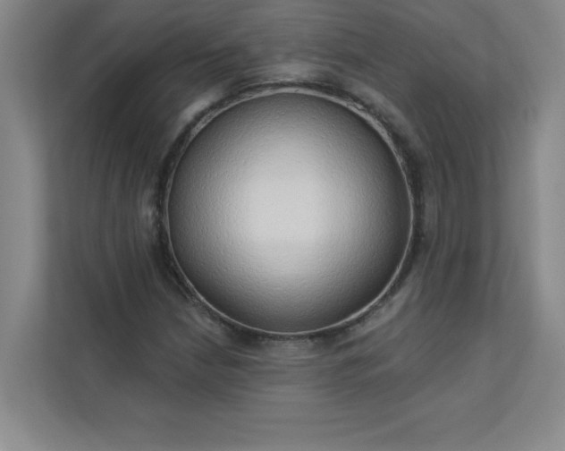 X0000113301210200909281057