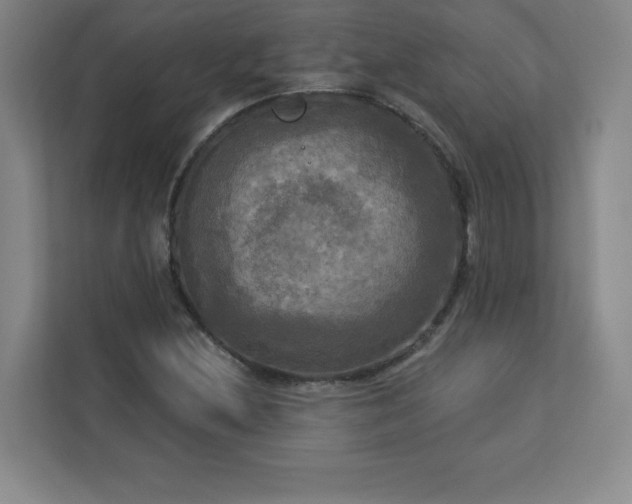 X0000113301212200909281057