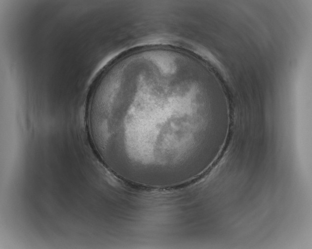 X0000113301216200909281057