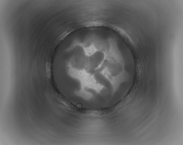 X0000113301217200909281057