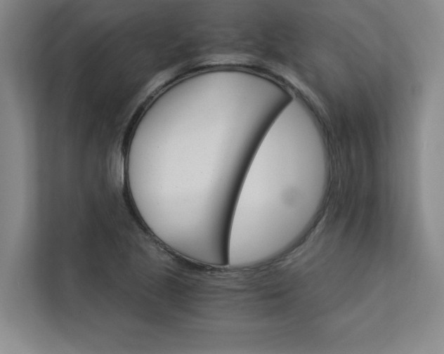 X0000113301221200909281057