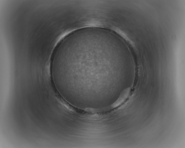 X0000113301222200909281058