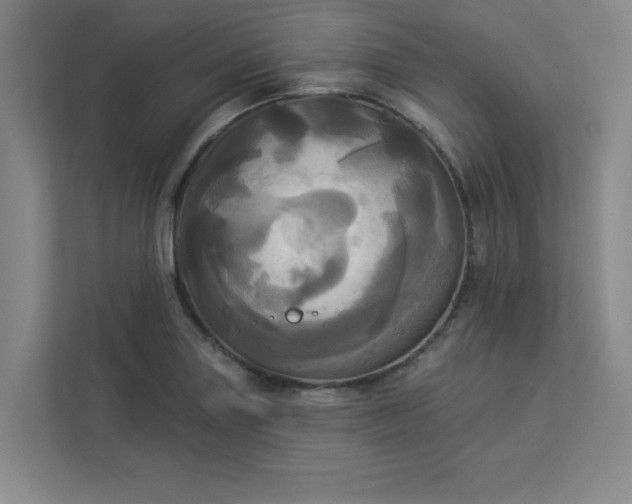 X0000113301227200909281058