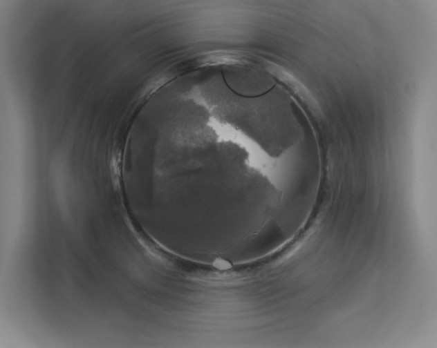 X0000113301233200909281058