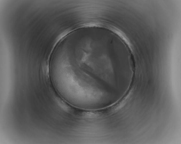 X0000113301234200909281058