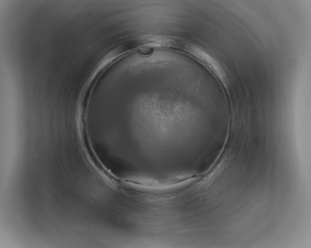 X0000113301235200909281058