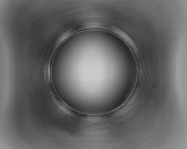 X0000113301242200909281058