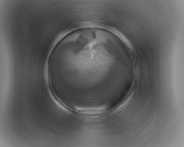 X0000113301247200909281058