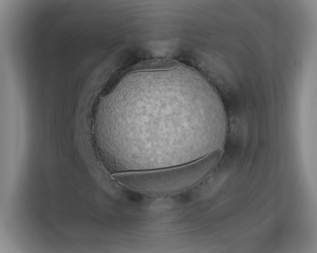 X0000113301249200909281057